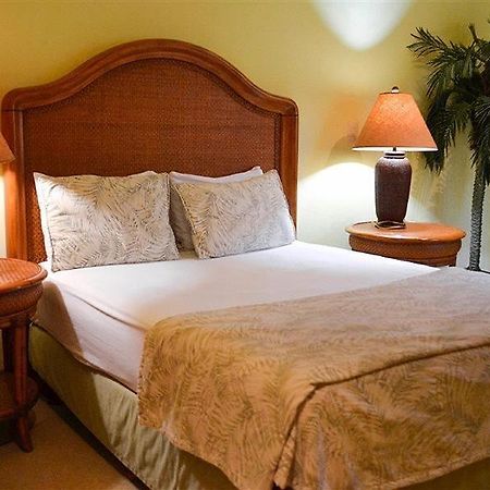 Blue Parrot Suites Playa del Carmen Zewnętrze zdjęcie