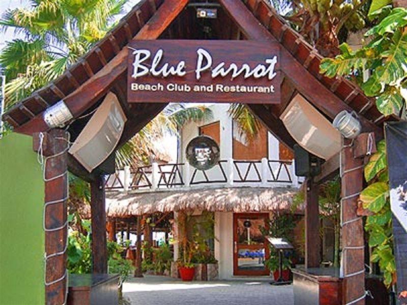 Blue Parrot Suites Playa del Carmen Zewnętrze zdjęcie