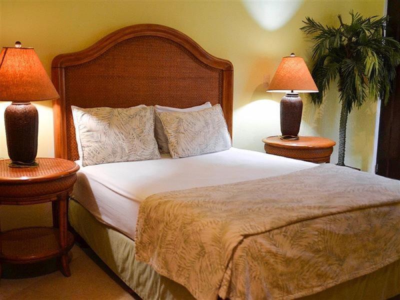 Blue Parrot Suites Playa del Carmen Zewnętrze zdjęcie