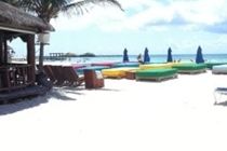 Blue Parrot Suites Playa del Carmen Zewnętrze zdjęcie